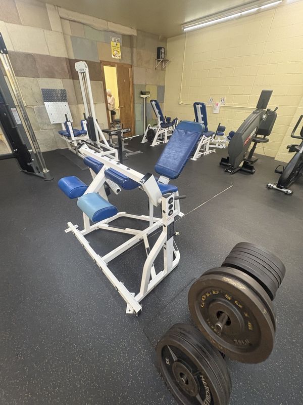 Adjustable incline bench with weight plates
